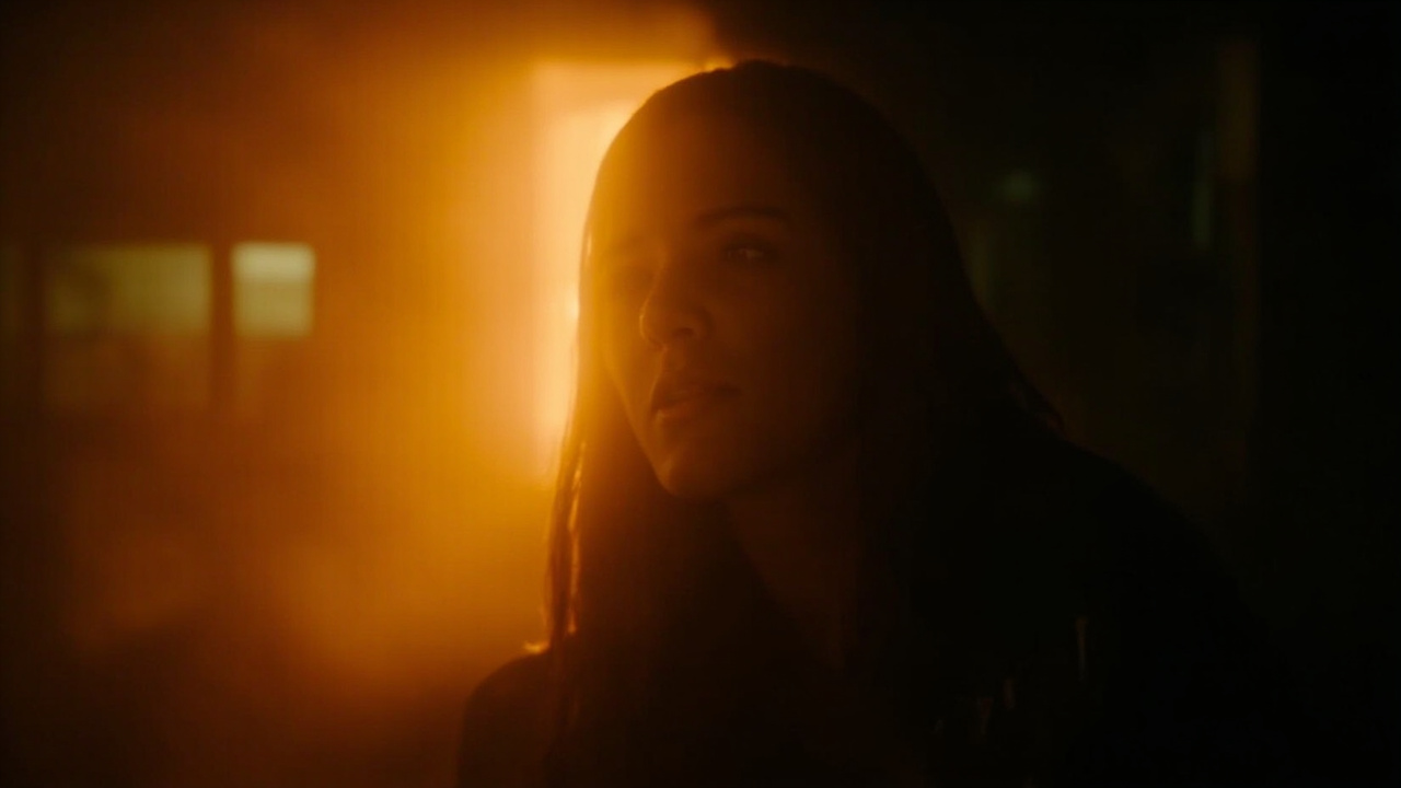 The Japanese Garden Poisoned Itself: Emergent Capture and the Libertarian Exit