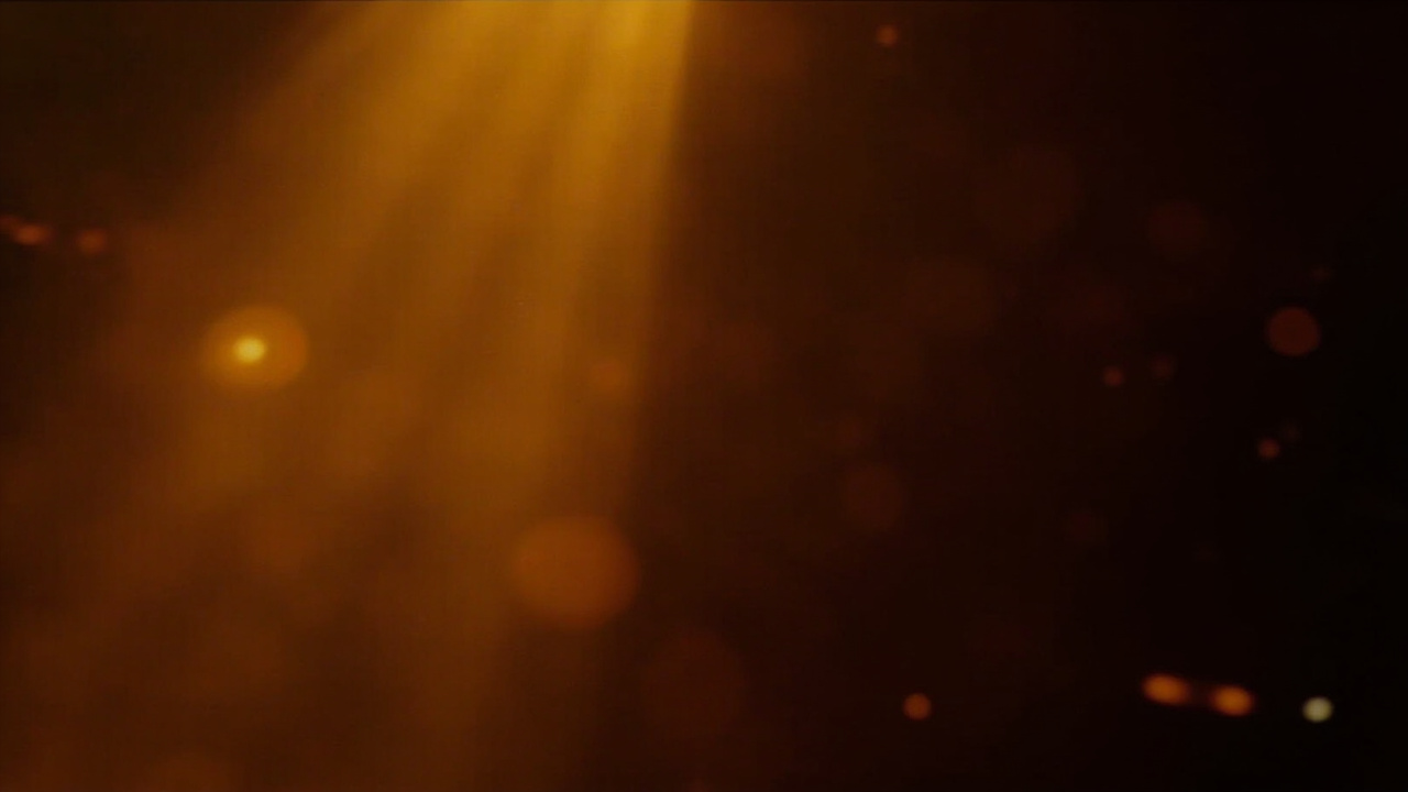 The Wrong Funeral: On Cognitive Hyperabundance, Multipolar Fragmentation, and the Only Work That Matters